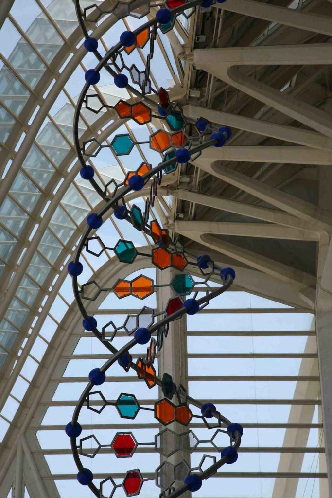 La doppia elica del DNA (pxhere.com)