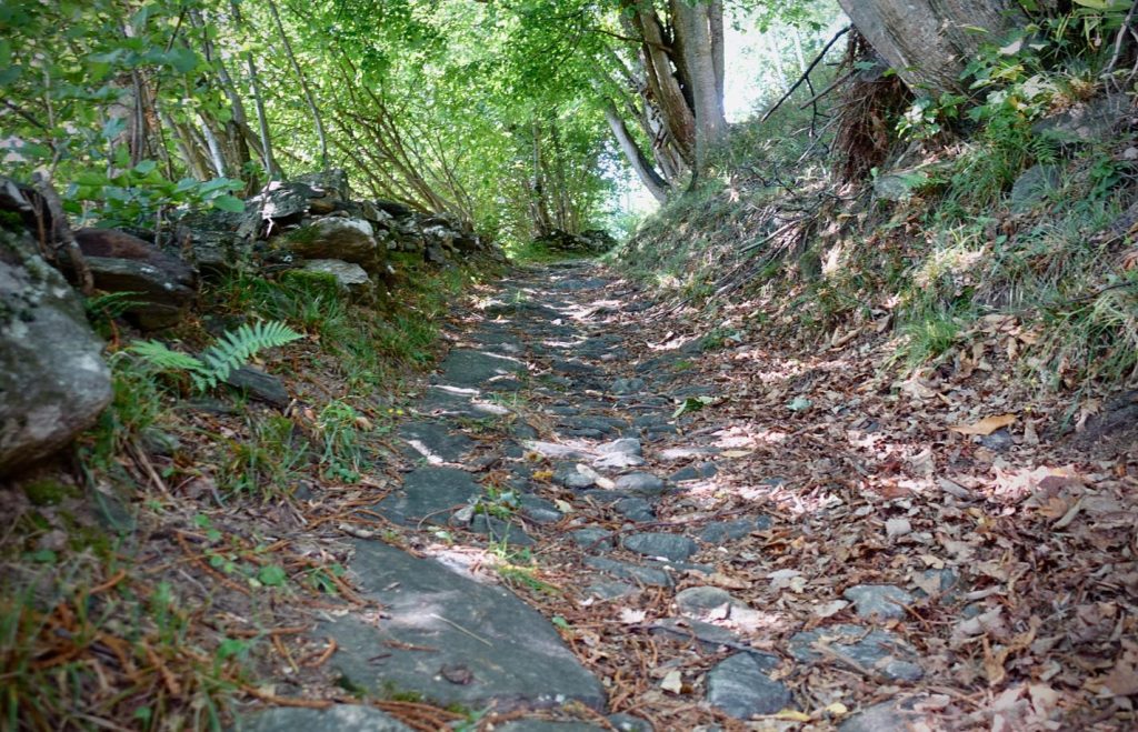 Il sentiero sopra il paese (Romano Venziani)