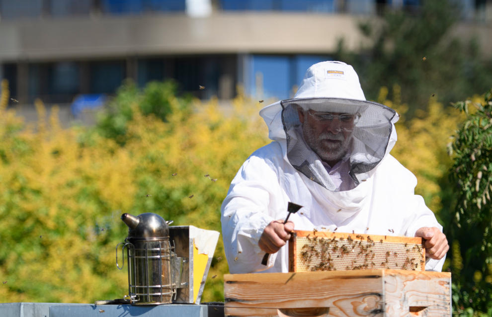 Arnie sul tetto dello stabile della Camera di commercio e dell’industria vodese a Losanna (Keystone)