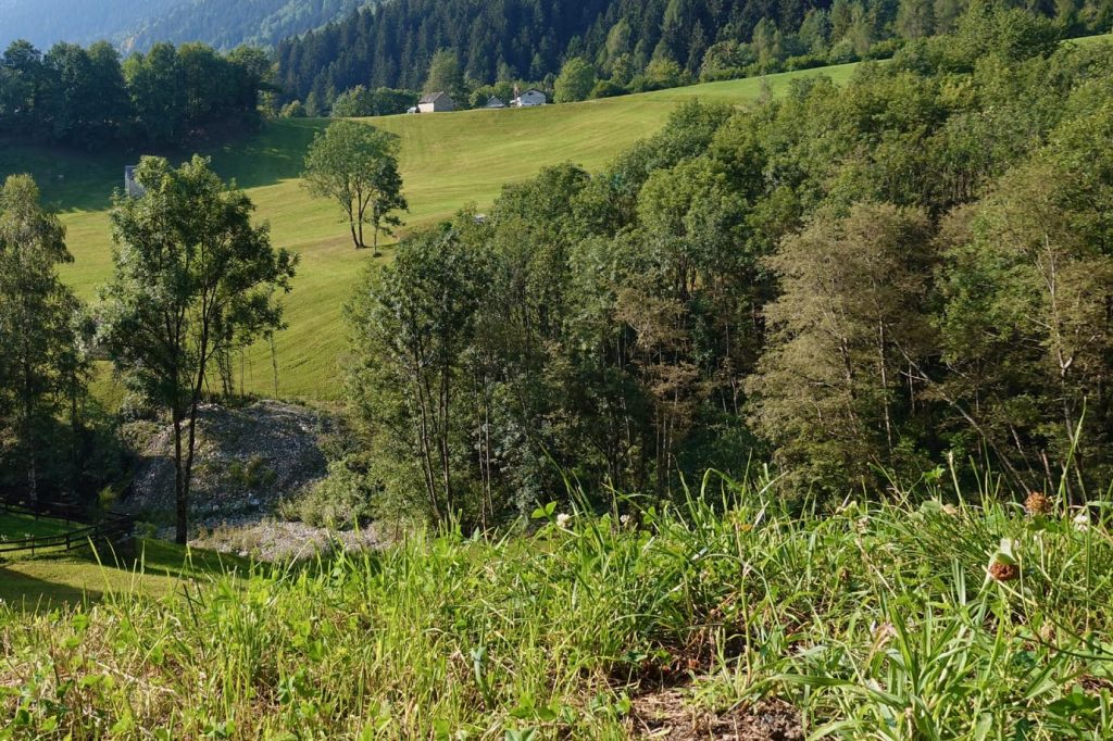 Ci addentriamo in un pianoro con prati curati,stalle e cascine  (Romano Venziani)