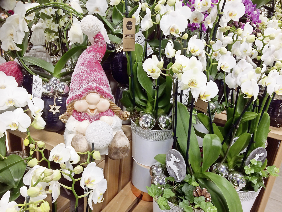 Le Feste viste da dietro le quinte (A. Zanoli)