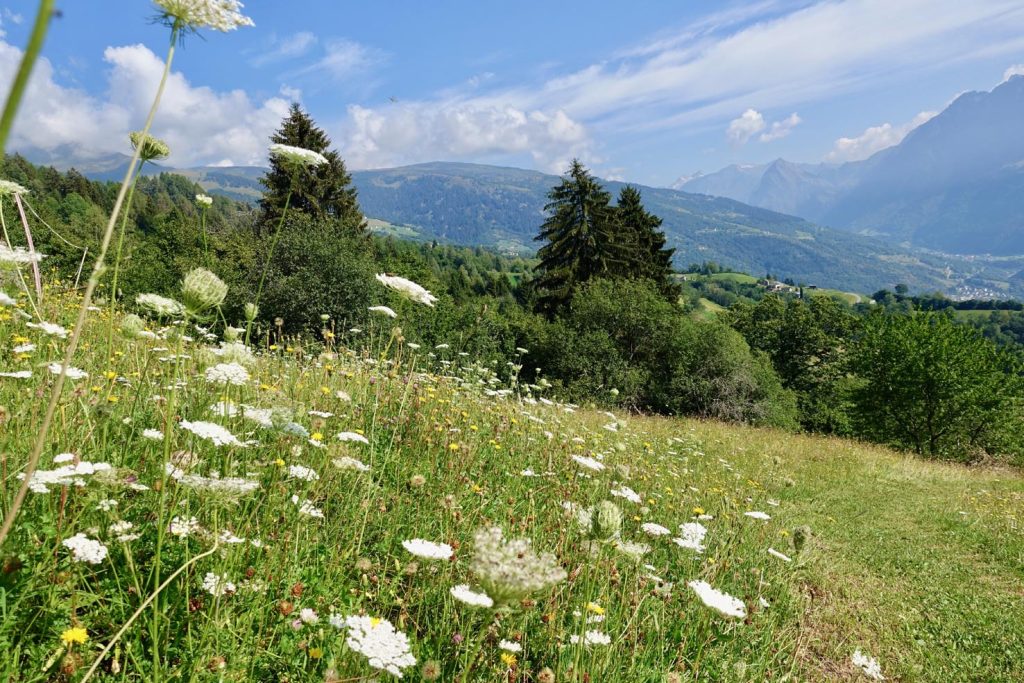 Lo sguardo abbraccia l'alta valle di Blenio (Romano Venziani)