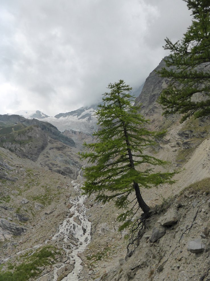 Hohbalmgletscher sopra Saas Fee nel Vallese (Marco Martucci)