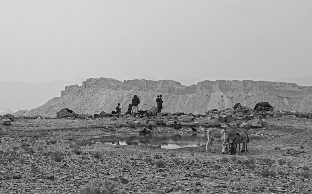 Acqua stagnante, unica fonte di acqua (foto Roshaan Khattak)