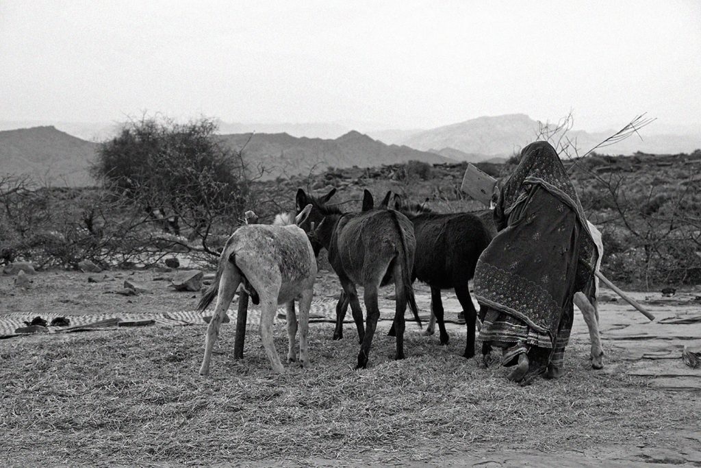 Contadino (foto Roshaan Khattak)