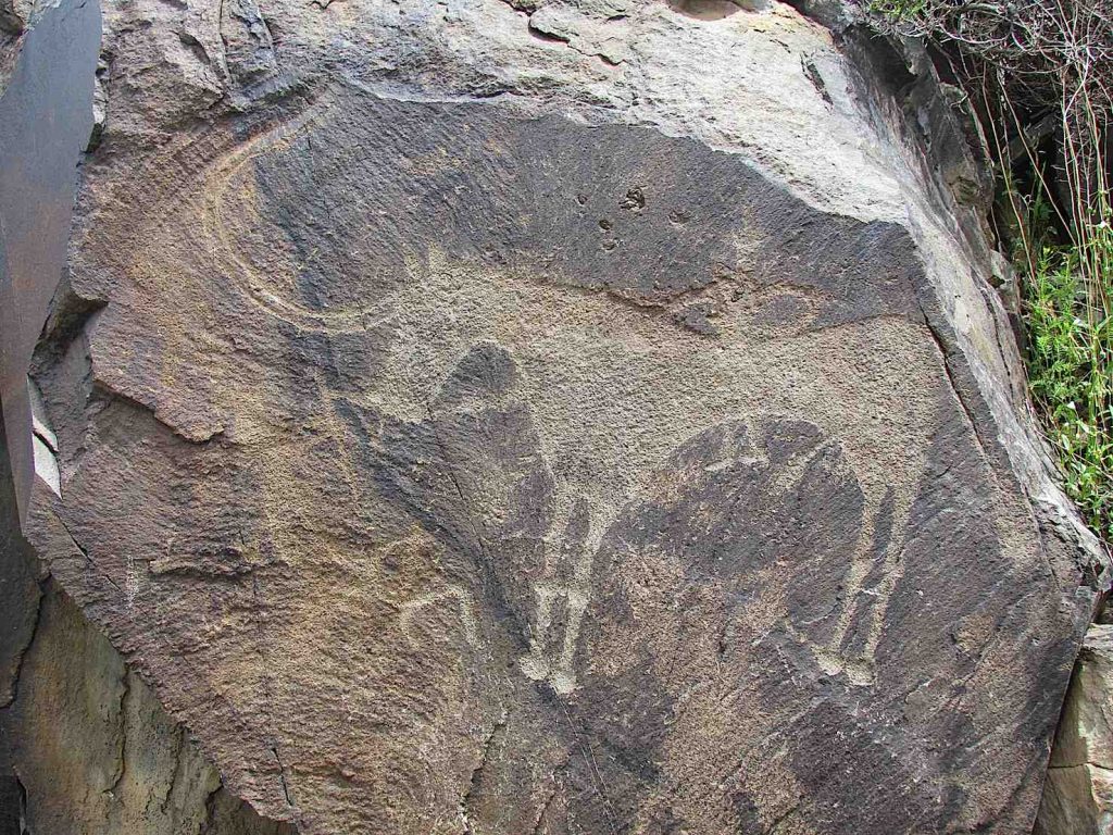 L'uro, antenato estinto degli attuali bovini, fa parte delle 5mila incisioni rupestri scoperte nella remota regione di Tambaly. Patrimonio Unesco