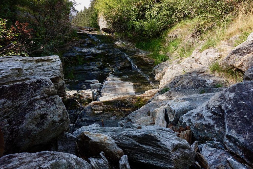 Il rivolo d'acqua che alimenta la pozza (Romano Venziani)