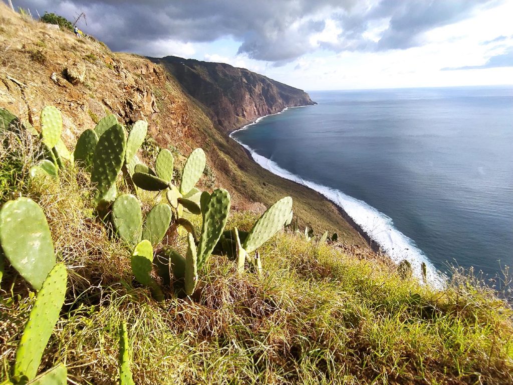 Il panorama da Ponta do Pargo