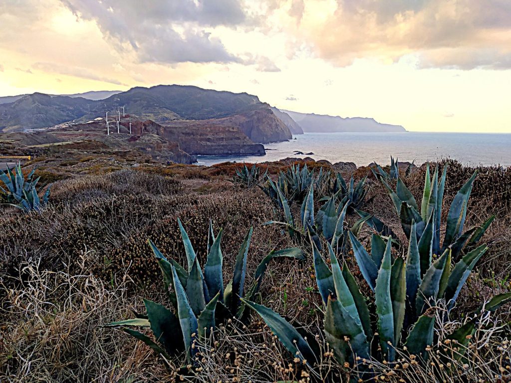 Prospettiva sul Cabo Sao Lourenço