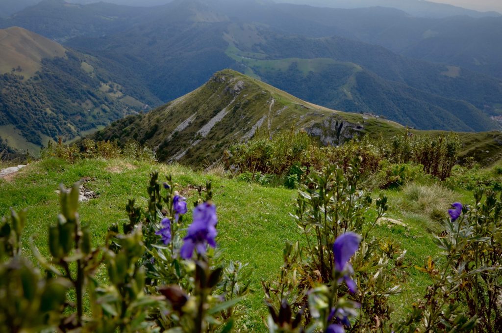 Il Mottone della Piana