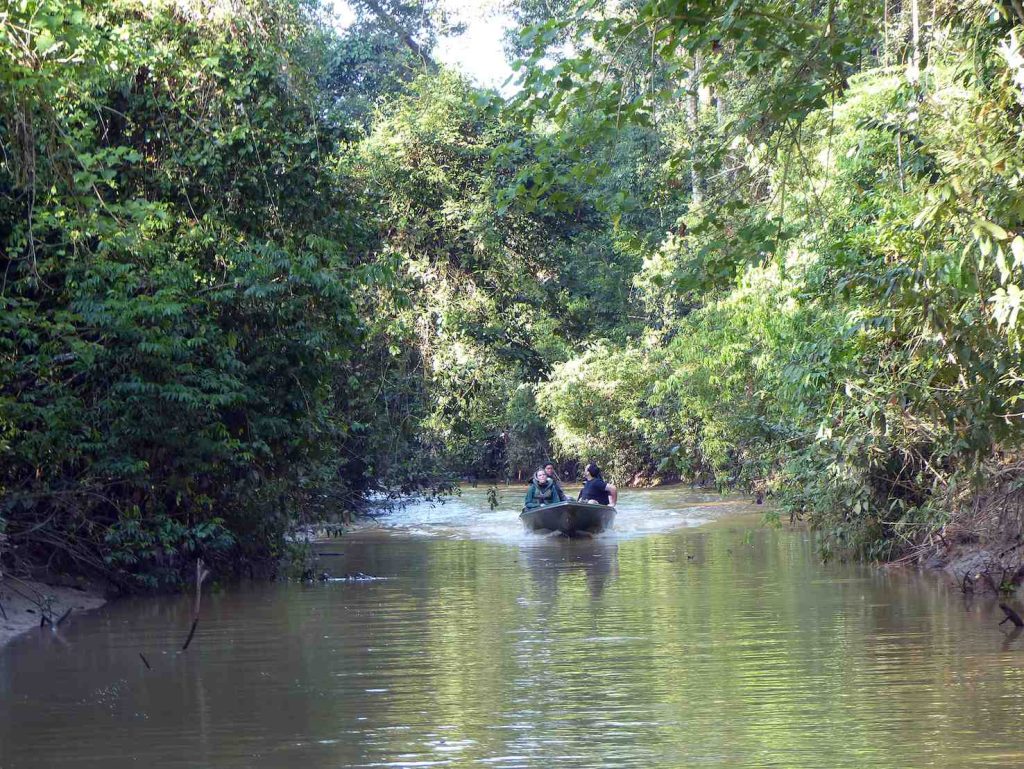 Escursione sul Kinabatangan river (Marco Moretti)