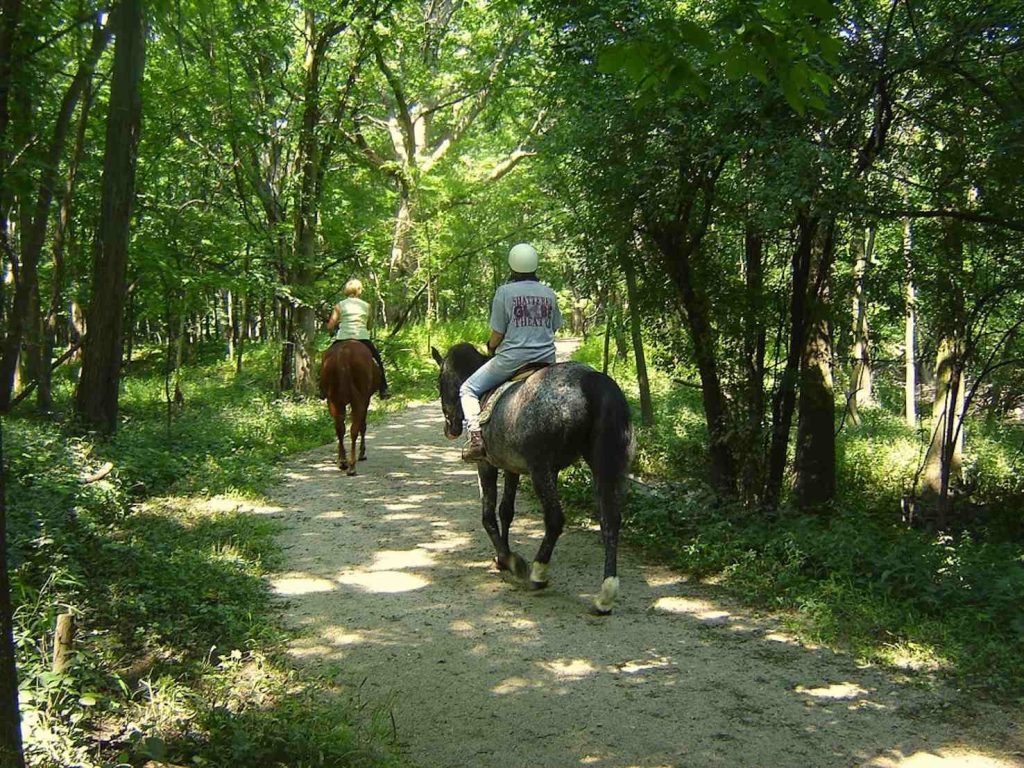 (Foto: Urbanwoodswalker)