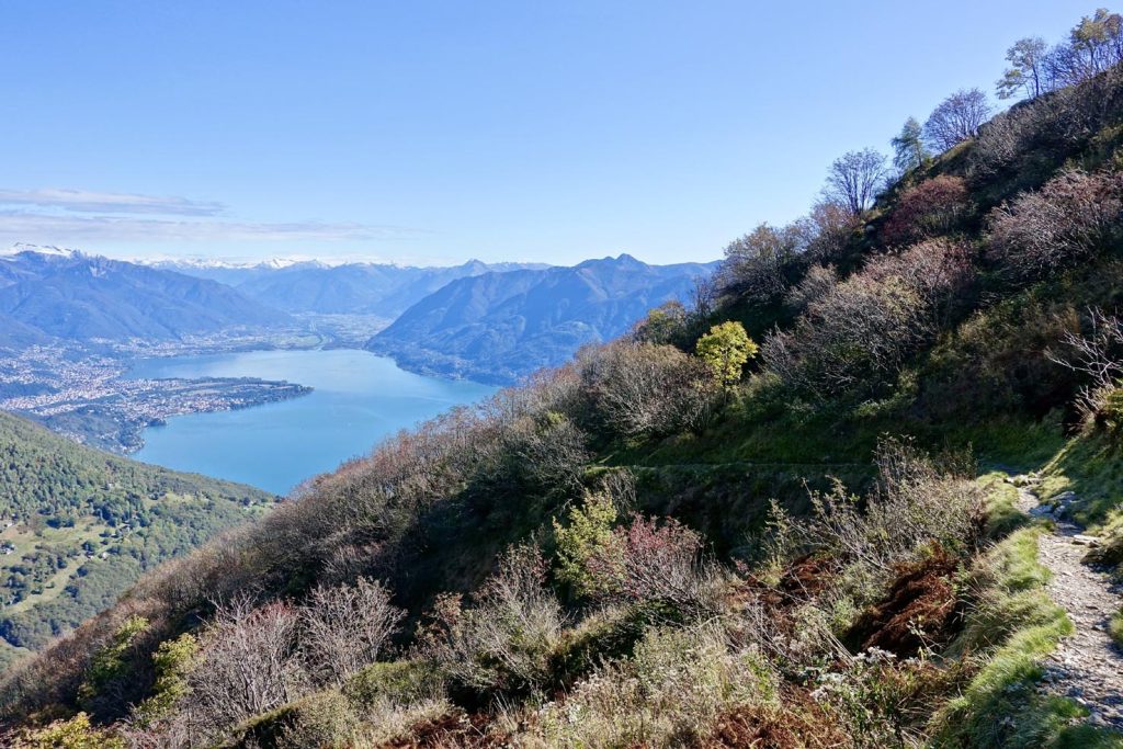 Il sentiero bordato dagli arbusti di ontano