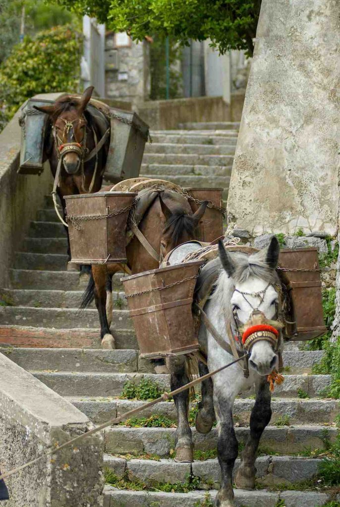 La scala dei muli impiegati per il trasporto dei materiali da costruzione