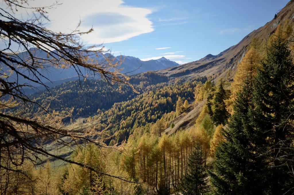L'altipiano con i colori dell'autunno visto dal sentiero verso il pizzo Rossetto