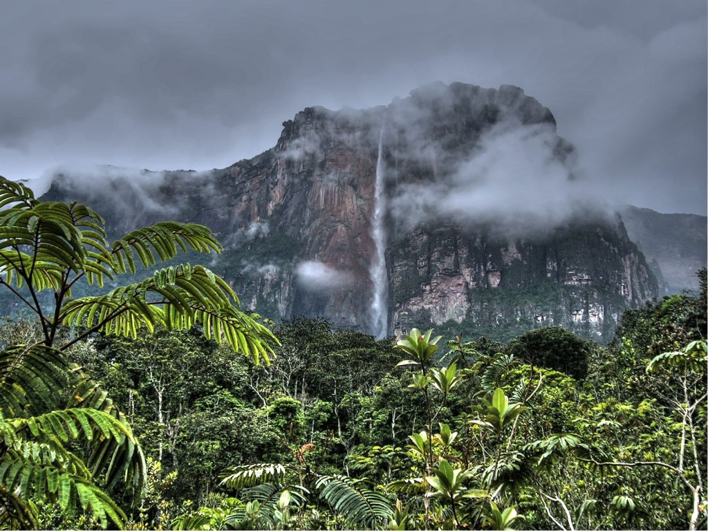 Il Salto del Ángel, cascata in Venezuela (Inaki Lopez)