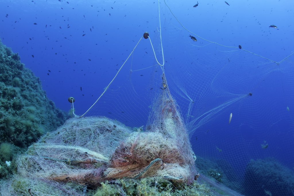 Reti abbandonate dai pescherecci (Franco Banfi)