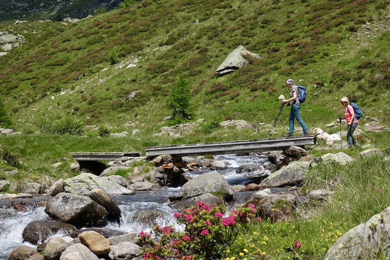 Prima dell’ultima salita il sentiero attraversa la Piumogna