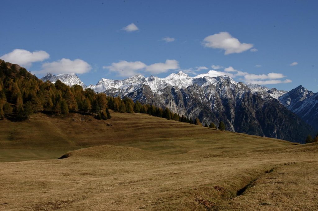 L'autunno sui prati di Anveuda
