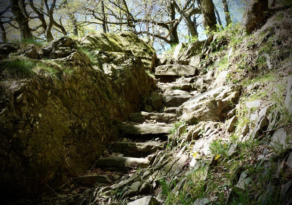 Il sentiero sopra Canedo