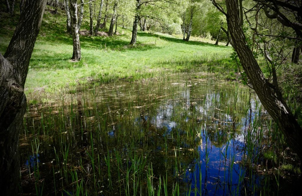 Zone umide sui Monti di Medeglia