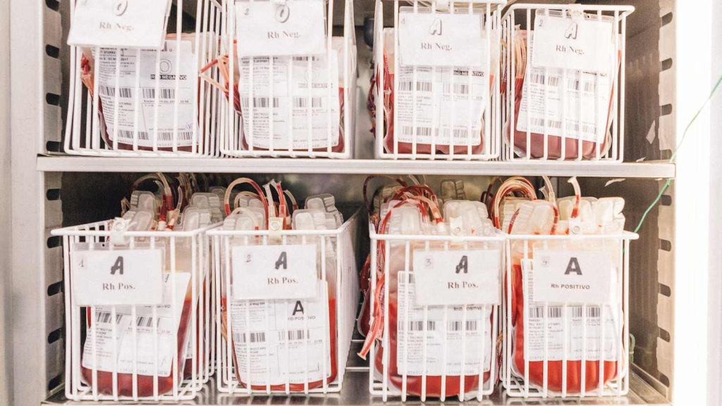 Sacche di sangue frutto di una donazione (Vincenzo Cammarata)