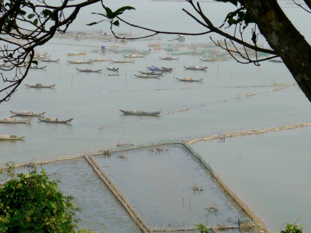 Le classiche suddivisioni della laguna di Hue destinate all’acquacoltura (Massimo Morello)