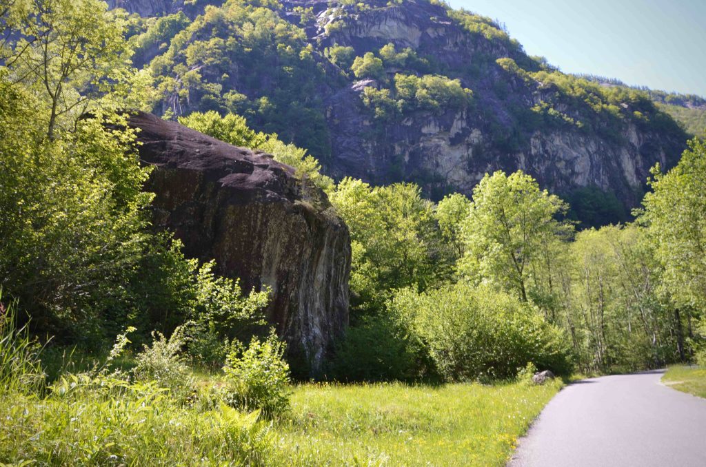 Il "Balòn di Frènc"