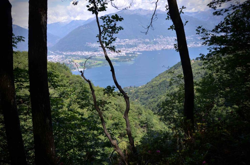 Il bosco si apre offrendo scorci di lago