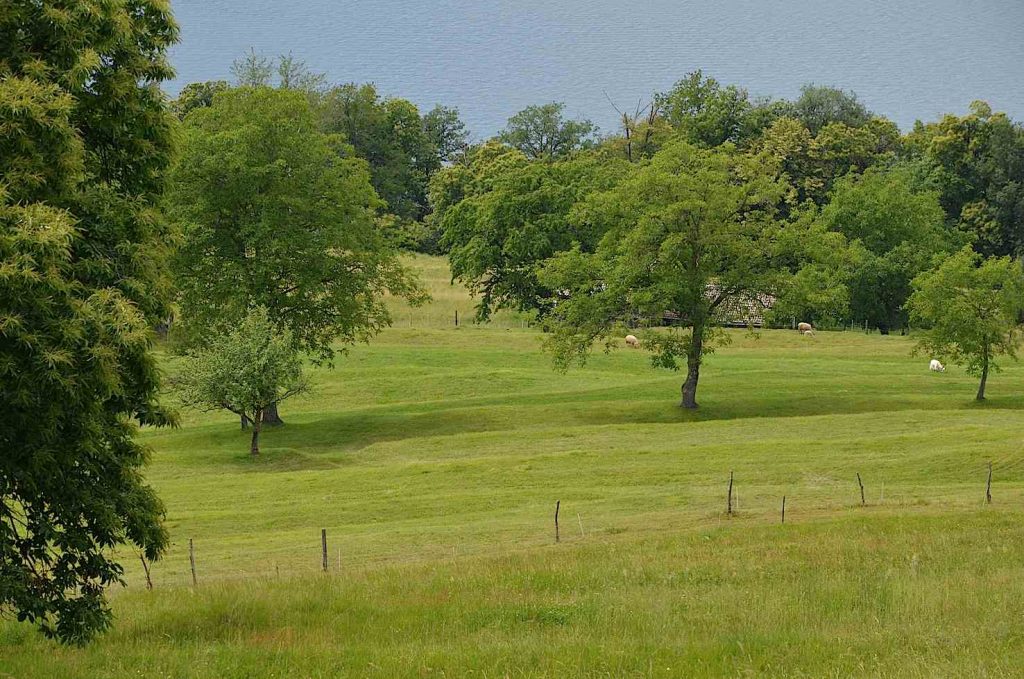 Generazioni di contadini si sono presi cura dei Centocampi
