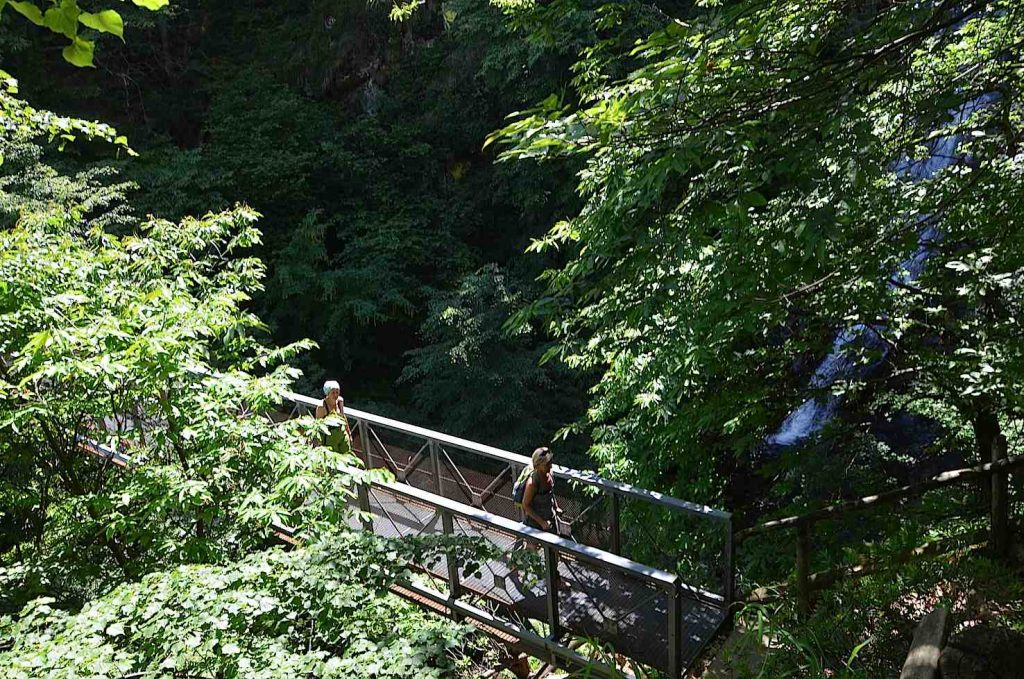 Ponte sulla cascata, Centocampi