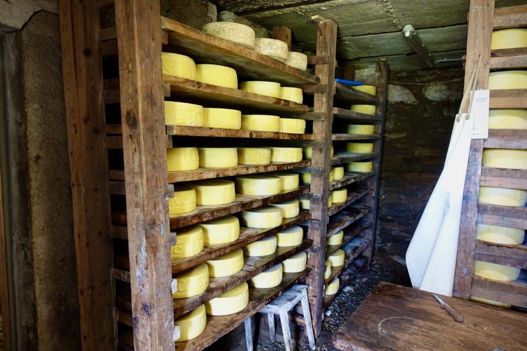 La cantina del formaggio