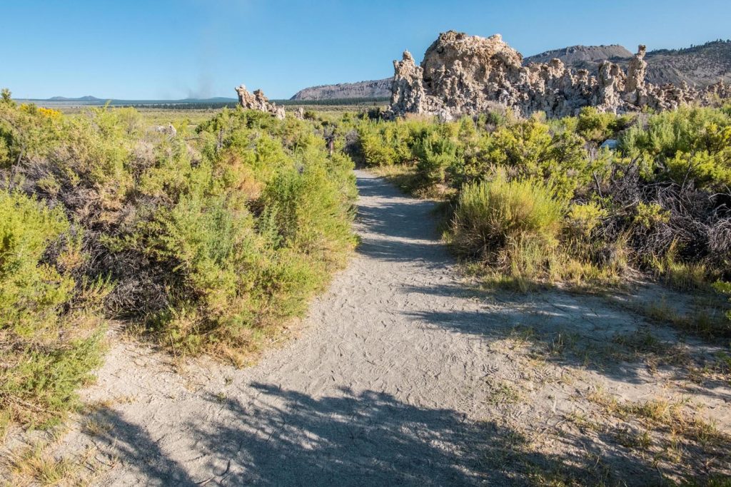 Vegetazione intorno al lago (cespugli di salvia, chamisa e sarcobatus)