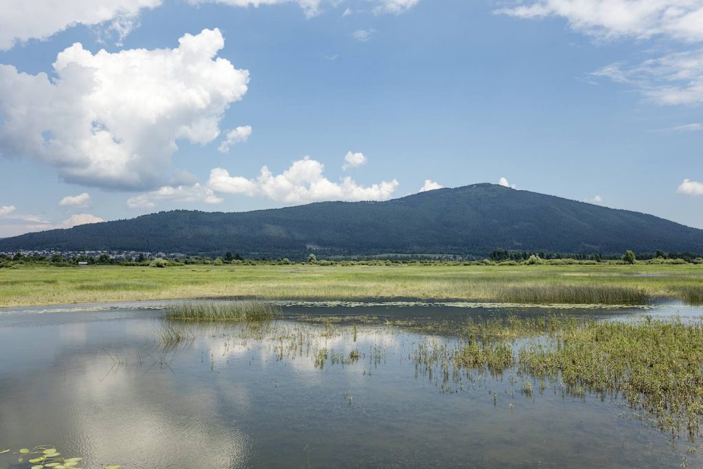 Il lago di Circonio, «in via di estinzione», è un bacino di piogge autunnali e disgelo primaverile. Si trova nella Carniola interna, Slovenia (Franco Banfi)