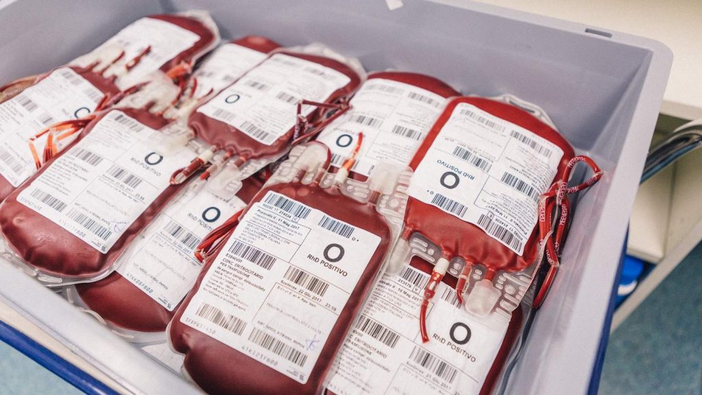 Sacche di sangue frutto di una donazione (Vincenzo Cammarata)