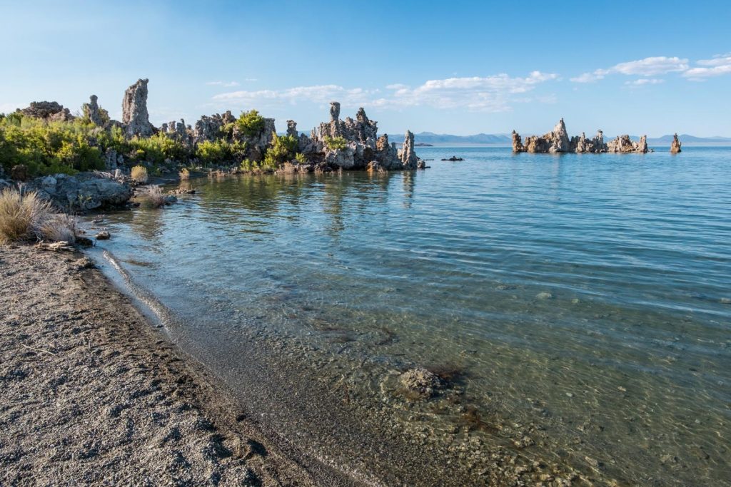 Pilastri di tufo e piante acquatiche