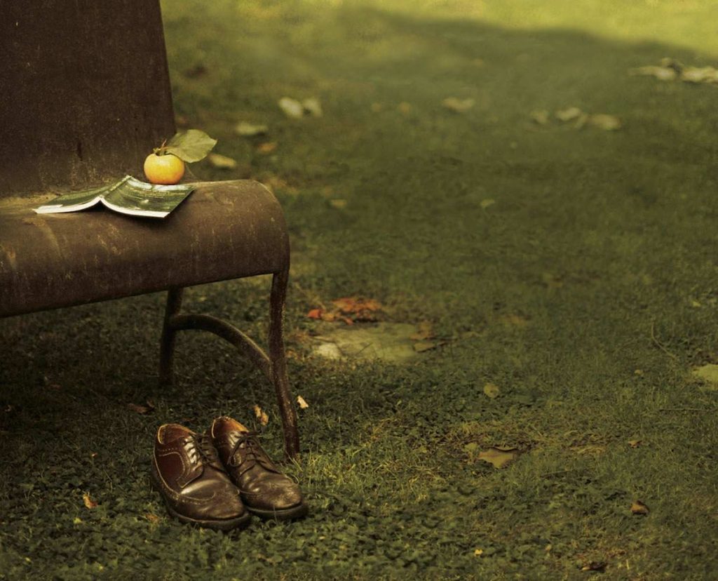 L'immagine che fa da sfondo alla copertina de «Giardini in tempo di guerra» di Teodor Ceric´