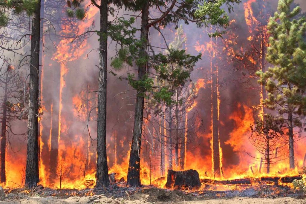 (US Department of Agriculture)