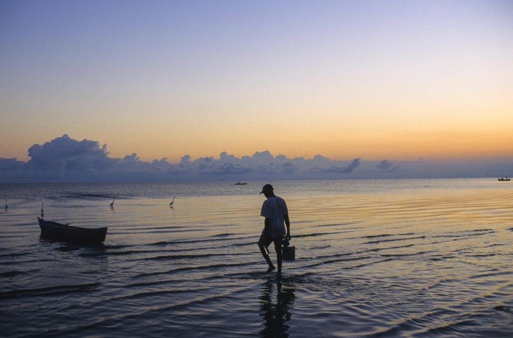 Livingston pescatori all’alba, mentre al largo lungo le coste centroamericane, i grandi pescherecci oceanici rastrellano ogni forma di vita.