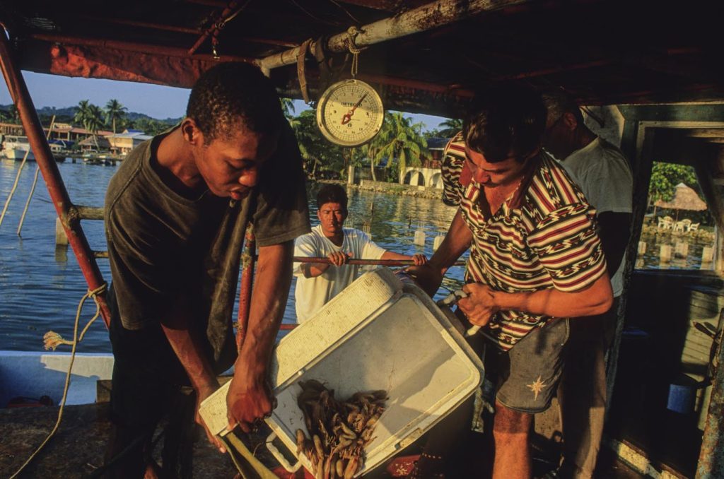 Livingston, pescatori scaricano il pesce per il mercato locale o per caricarlo su barche dirette a Puerto Barrios, la città più vicina.