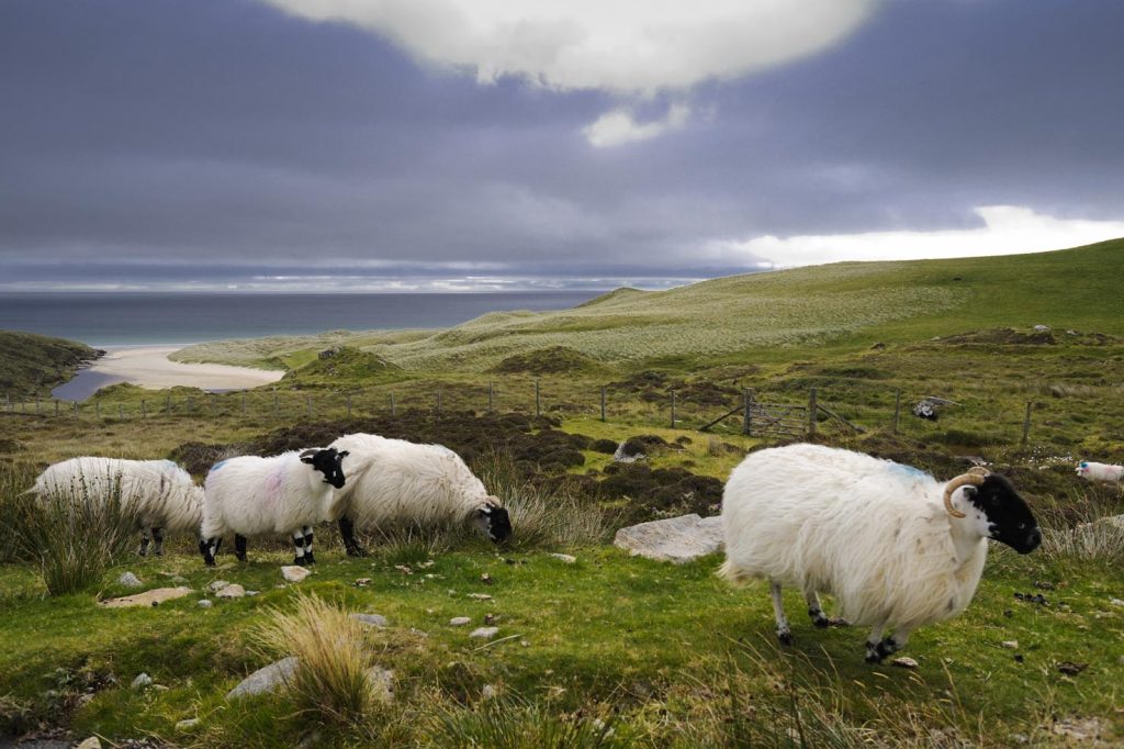 Ebridi Esterne. Isola di Lewis: la costa orientale.