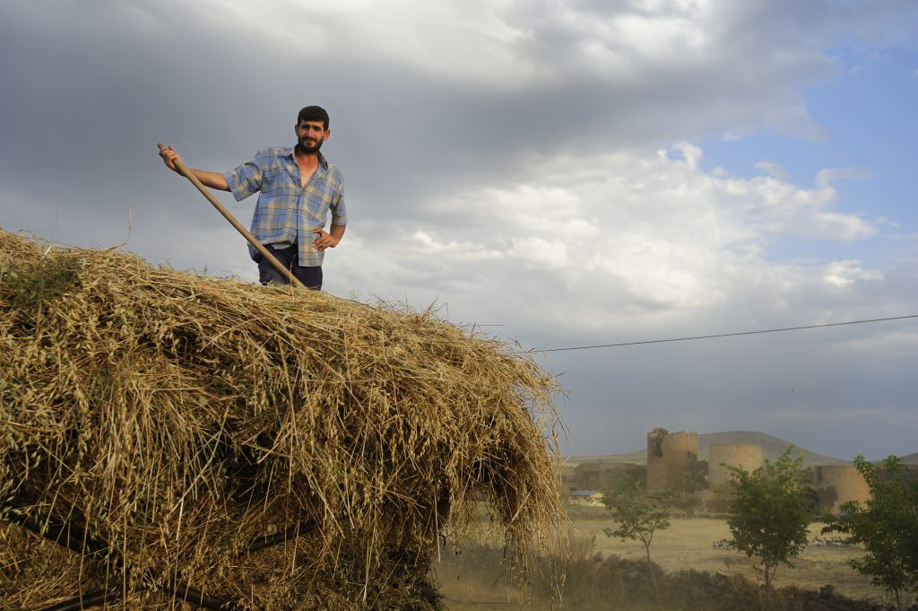 Contadini nel villaggio curdo di Ocakli Koyu vicino al confine tra Turchia e Armenia, non lontano da Ani