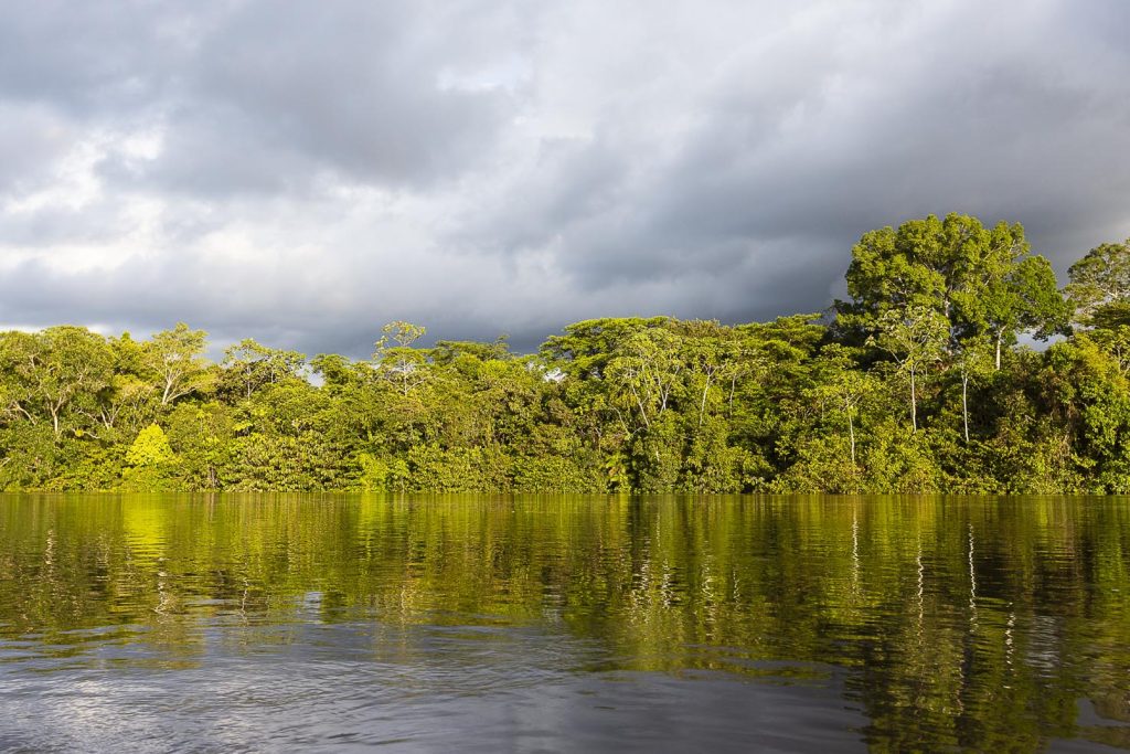Un giorno in barca, lungo il fiume tra due ali di alberi imponenti e sotto un cielo arrabbiato, tra scroscii di pioggia e squarci di sole