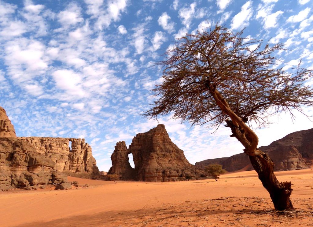 Architetture naturali create dall'erosione e dal  vento nel massiccio d'arenaria del Tadrart