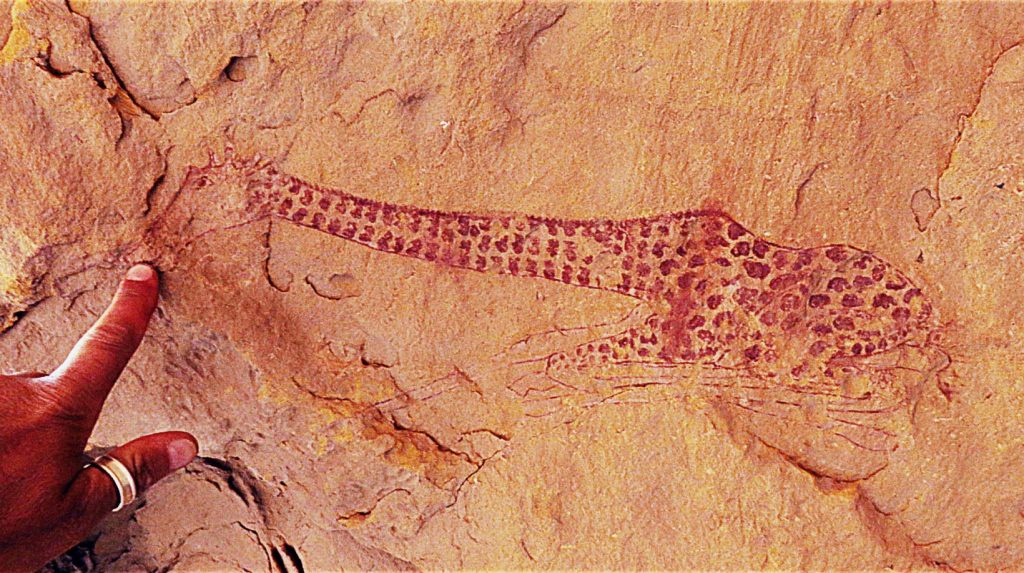 Oued in-Djeran, verso il confine libico. Giraffa del VII - VI millennio a.C.