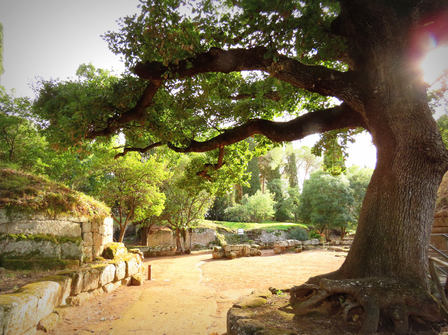 Necropoli etrusca della Banditaccia, a nord di Roma (Paolo Brovelli)