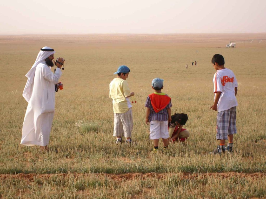 La città di Riyadh, Arabia Saudita (Pixabay)