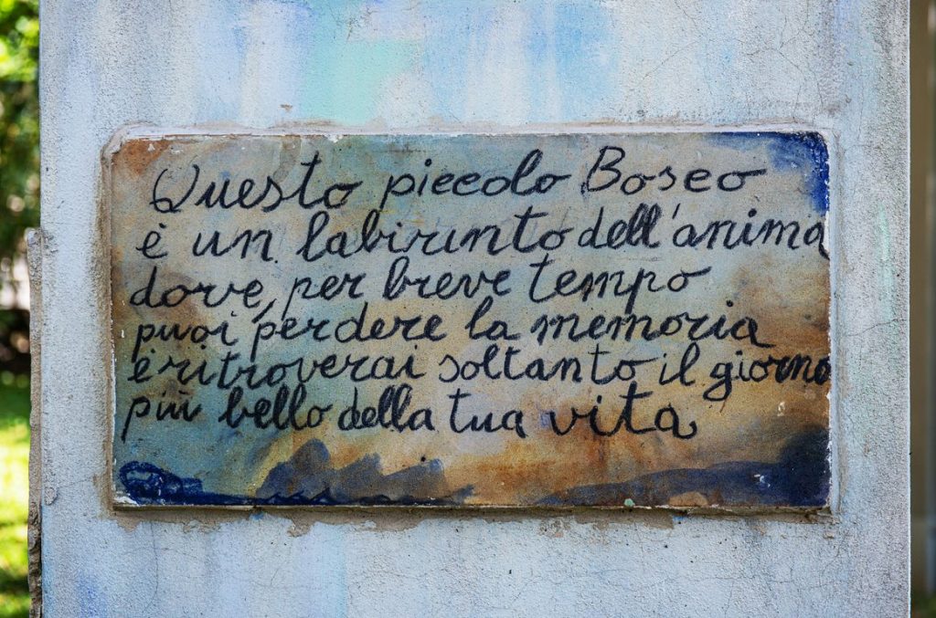«Bosco incantato» (Franco Cattaneo)