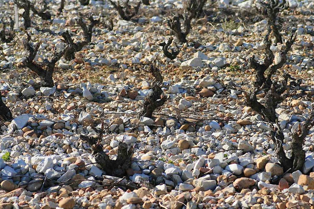 (Jean-Louis Zimmermann)