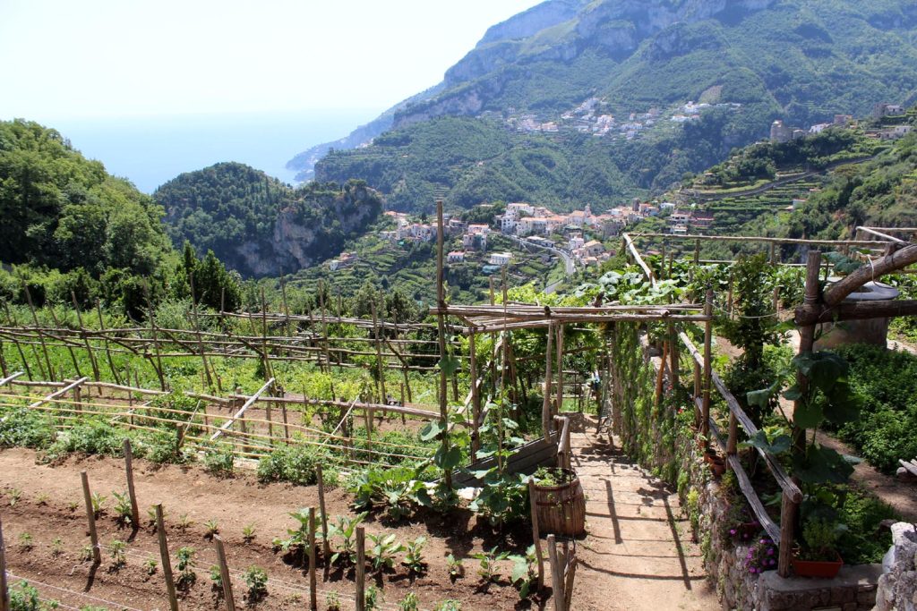 I terrazzamenti di Ravello, anche vignati, nella provincia di Salerno, sulla Costiera amalfitana (Deror Avi)